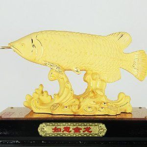 金龍魚的價格國家承認(rèn)嗎：金龍魚產(chǎn)品市場價格公開透明 龍魚百科 第2張