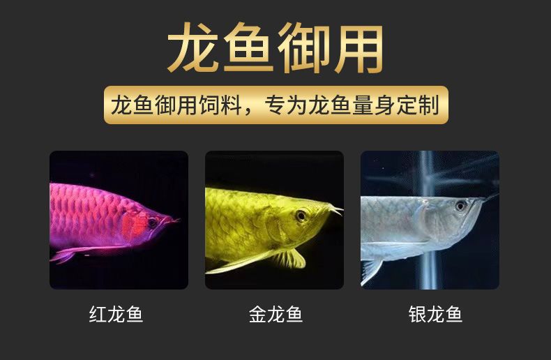 紅龍魚怎么樣換食：紅龍魚如何換食