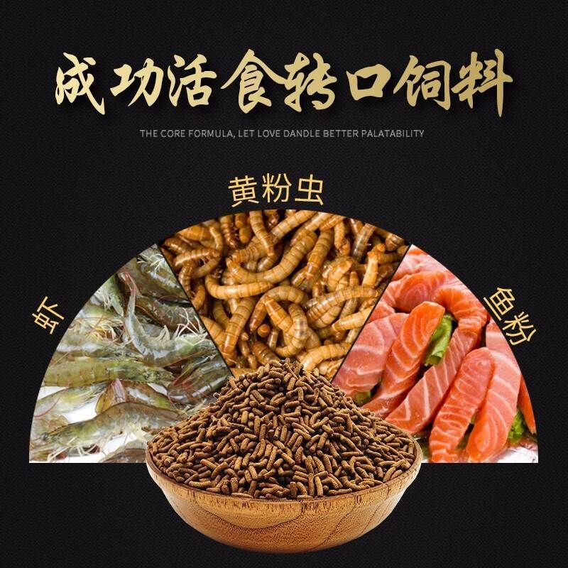 龍魚喂什么食物長得快又好養(yǎng)：最適合龍魚的食物類型和喂食注意事項 龍魚百科