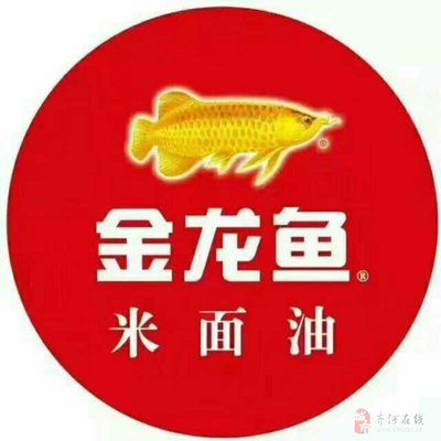 金龍魚門店文員怎么樣：金龍魚門店文員的薪資待遇如何