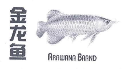 金龍魚的英文 arawana：金龍魚的英文arawana\