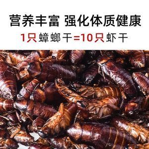 龍魚吃蟑螂干好嗎怎么喂：龍魚可以吃蟑螂干嗎，龍魚吃蟑螂干好嗎怎么喂 龍魚百科 第1張