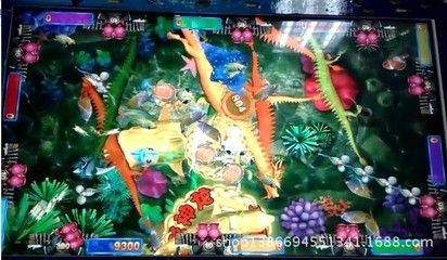 七彩神龍魚多少錢一條：七彩神龍魚多少錢一條七彩神龍魚多少錢一條 龍魚百科 第2張