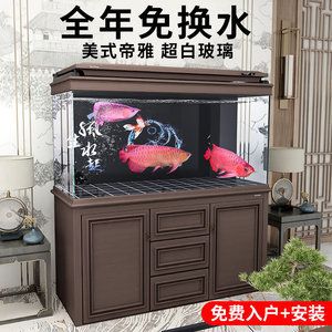 養(yǎng)龍魚(yú)的魚(yú)缸幾天換一次水：養(yǎng)龍魚(yú)的魚(yú)缸換水的頻率并沒(méi)有一個(gè)固定的答案因?yàn)樗Q于多種因素