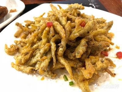 小龍魚長啥樣：小龍魚是一種美麗且色彩豐富且色彩豐富的淡水魚類