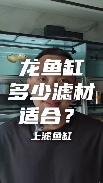 龍缸濾材的選擇與使用第四期，上濾缸的建議。這期視頻我講的有點(diǎn)主觀，關(guān)于過濾系統(tǒng)的雙翻水好還是單翻水好的爭論在事實(shí)面前，該有答案了。：龍缸濾材的選擇與使用 觀賞魚論壇