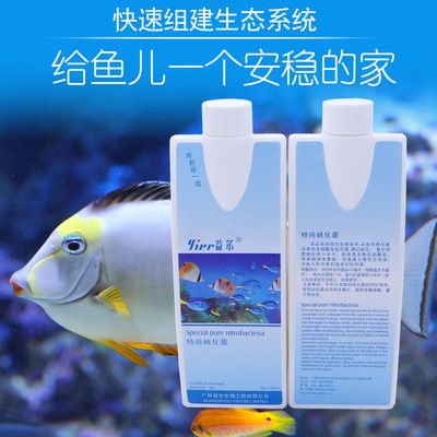 龍魚用什么牌子的硝化細(xì)菌好：龍魚用什么牌子的硝化細(xì)菌好龍魚用什么牌子的硝化細(xì)菌好 龍魚百科 第2張