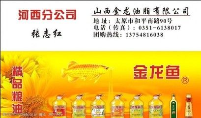 金龍魚名片設(shè)計(jì)圖：金龍魚名片設(shè)計(jì)圖、金龍魚名片設(shè)計(jì)圖的相關(guān)信息介紹 龍魚百科 第2張