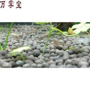 龍魚什么溫度合適冬眠：龍魚什么溫度合適冬眠溫度在22℃-[需手動填充]