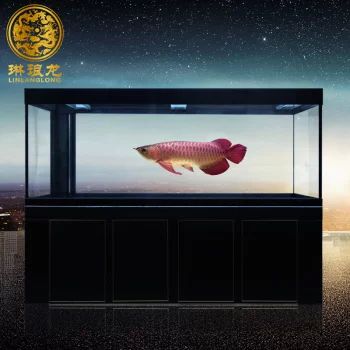 龍魚的品牌有哪些種類：龍魚品牌有哪些種類 龍魚百科 第3張