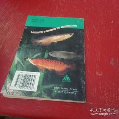 新手如何養(yǎng)龍魚：新手養(yǎng)龍魚需要考慮的因素比較多，從而成功養(yǎng)育出健康的龍魚 龍魚百科 第2張