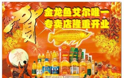 金龍魚科技海報(bào)：金龍魚科技海報(bào)可以從多方面展現(xiàn)該企業(yè)在科技領(lǐng)域的投入和成就 龍魚百科 第2張