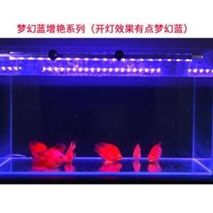 紅龍魚一直在缸底不動是為什么：紅龍魚長時間待在魚缸底部不游動可能由多種因素引起 龍魚百科 第3張