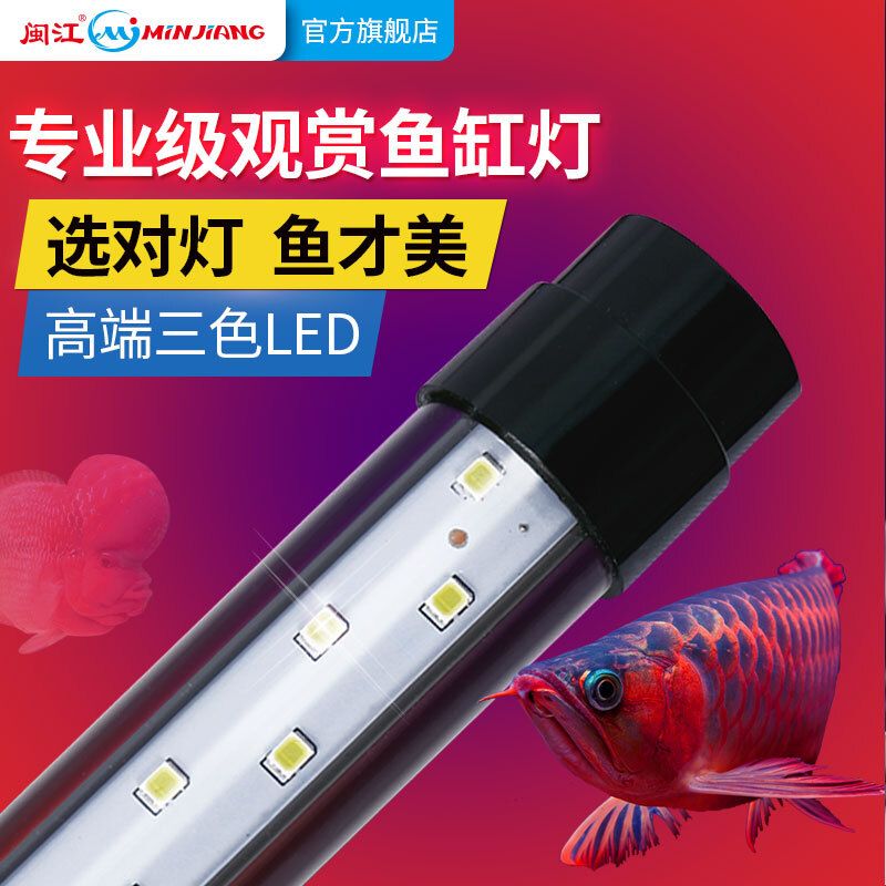 烤龍魚用的兩根燈管放在魚缸什么位置：烤龍魚用的兩根燈管放在魚缸什么位置可以提供均勻、柔和的光線 龍魚百科 第3張