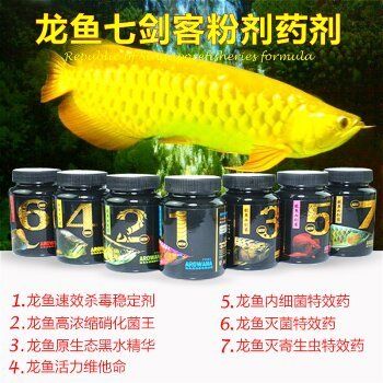 養(yǎng)龍魚必備藥劑有哪些種類的：養(yǎng)龍魚必備的藥劑 龍魚百科 第1張