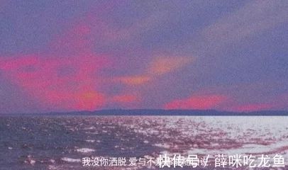 龍魚的文案短句搞笑：關(guān)于龍魚的搞笑文案短句