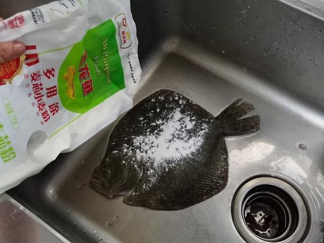 龍魚排便白色粘液：龍魚排便呈白色粘液狀可能是由于以下幾個(gè)原因引起的 龍魚百科 第3張