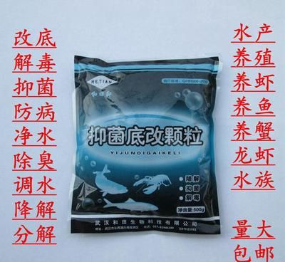 養(yǎng)龍魚加什么鹽好：養(yǎng)龍魚時(shí)需要添加鹽以及使用何種鹽是一個(gè)常見的問題 龍魚百科 第1張