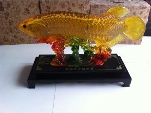 養(yǎng)金龍魚怎樣招財(cái)辟邪最好：養(yǎng)金龍魚可以通過選擇合適的位置、魚缸形狀、魚的數(shù)量和顏色 龍魚百科 第3張