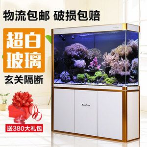 養(yǎng)龍魚的魚缸用白底還是黑底好看呢：養(yǎng)龍魚的魚缸底色選擇 龍魚百科 第3張