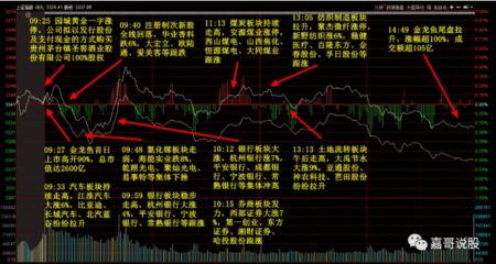 金龍魚(yú)開(kāi)通深股通：金龍魚(yú)開(kāi)通深股通增持24.25萬(wàn)股深股通減持136.1萬(wàn)股 龍魚(yú)百科 第1張