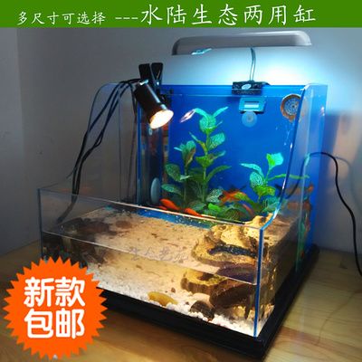 有沒有小龍魚賣：使用龍缸養(yǎng)金魚有幾個優(yōu)勢