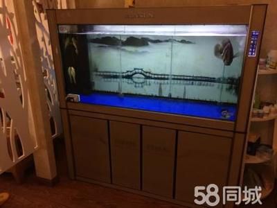 龍魚成品缸哪個品牌好：選擇龍魚成品缸時品牌是一個重要的考慮因素推薦