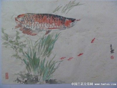 龍魚國畫：國畫中的龍魚寓意“吉祥”，“魚”寓意“富足”，寓意“富足”