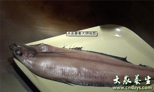 龍魚不想養(yǎng)了怎么保存：不想養(yǎng)的龍魚怎么保存 龍魚百科 第1張