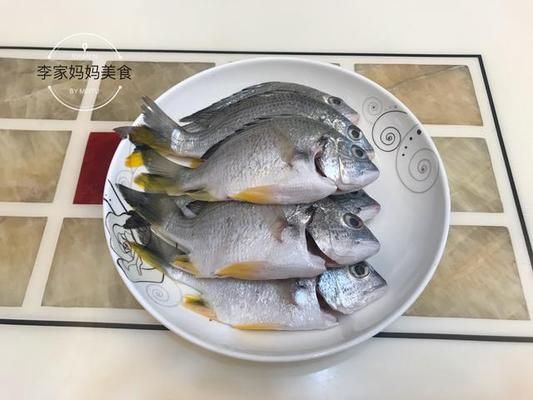 龍魚不想養(yǎng)了怎么保存：不想養(yǎng)的龍魚怎么保存 龍魚百科 第3張