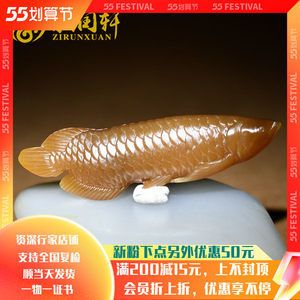 點金龍魚多少錢一條：點金龍魚多少錢一條點金龍魚多少錢一條點金龍魚的價格