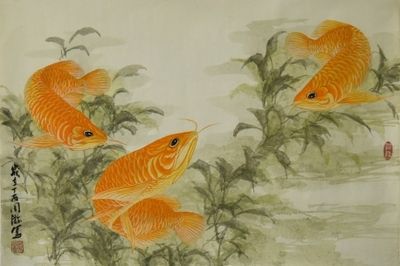 有關(guān)金龍魚的古詩：與金龍魚有關(guān)的古詩 龍魚百科 第1張