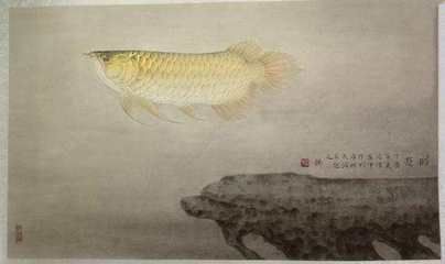 有關(guān)金龍魚的古詩：與金龍魚有關(guān)的古詩 龍魚百科 第2張