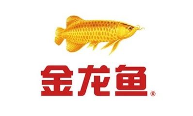 金龍魚底色淺怎么回事：金龍魚底色淺怎么回事金龍魚底色淺怎么回事 龍魚百科 第3張