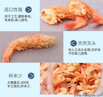 龍魚蝦干需要泡水多久：龍魚蝦干泡發(fā)時間取決于您打算如何使用這些蝦干 龍魚百科 第1張