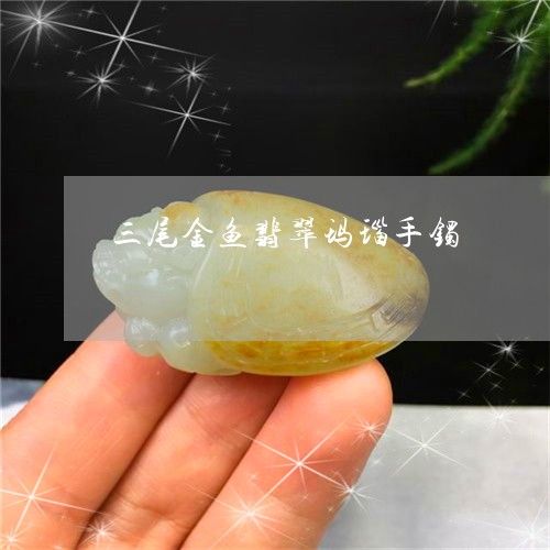 玉石龍魚寓意什么：玉石龍魚在中國傳統(tǒng)文化中具有深刻寓意和象征意義