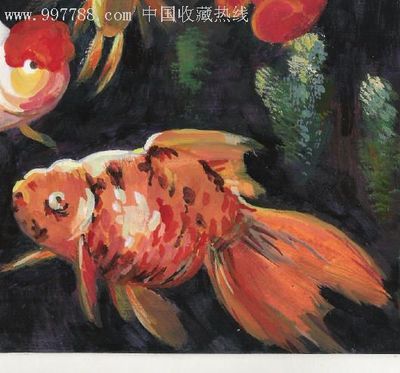 金龍魚水粉畫：金龍魚水粉畫教程 龍魚百科 第1張