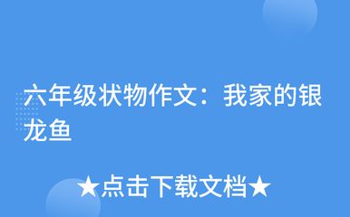 我龍魚怎么寫作文300字：我家的龍魚,我家的魚缸里有一條威武霸氣的龍魚 龍魚百科 第2張