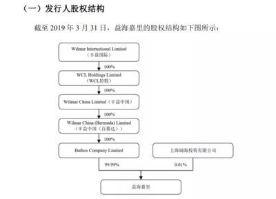 金龍魚股權(quán)結(jié)構(gòu)圖解：益海嘉里金龍魚糧油食品股份有限公司金龍魚股權(quán)結(jié)構(gòu)圖解 龍魚百科 第2張