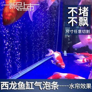 龍魚缸打氧氣方法：養(yǎng)殖龍魚時(shí)如何給魚缸打氧氣