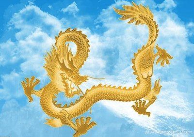 金龍：廈門金龍聯(lián)合汽車工業(yè)有限公司 龍魚百科 第2張