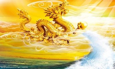 金龍：廈門金龍聯(lián)合汽車工業(yè)有限公司 龍魚百科 第3張