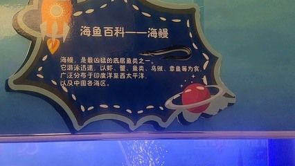 龍魚缸底層魚哪些鰻魚：鰻魚不是最適合與龍魚混養(yǎng)的底層魚