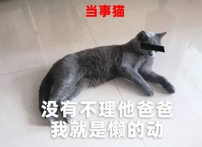 金龍魚白眼怎么治好：金龍魚白眼怎么治好金龍魚白眼怎么治好