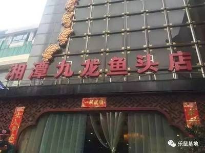 九龍魚頭在長沙有幾家店面：九龍魚頭在長沙有幾家店面？ 龍魚百科 第1張