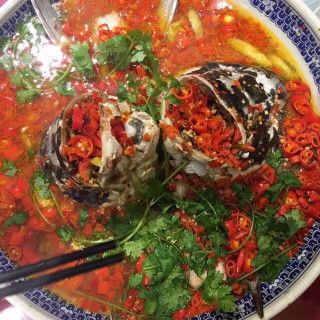 九龍魚頭在長沙有幾家店面：九龍魚頭在長沙有幾家店面？ 龍魚百科 第2張