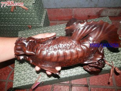 黑色龍魚品：關(guān)于黑色龍魚的品種根據(jù)搜索結(jié)果，主要有以下幾種