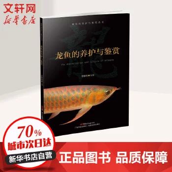 龍魚的鑒賞要點是什么意思呀：龍魚的鑒賞要點 龍魚百科 第1張