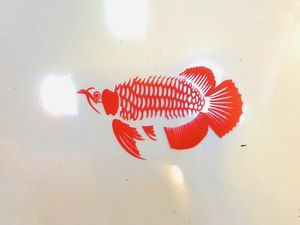 龍魚(yú)用什么背景紙：如何選擇龍魚(yú)缸背景紙 龍魚(yú)百科 第2張