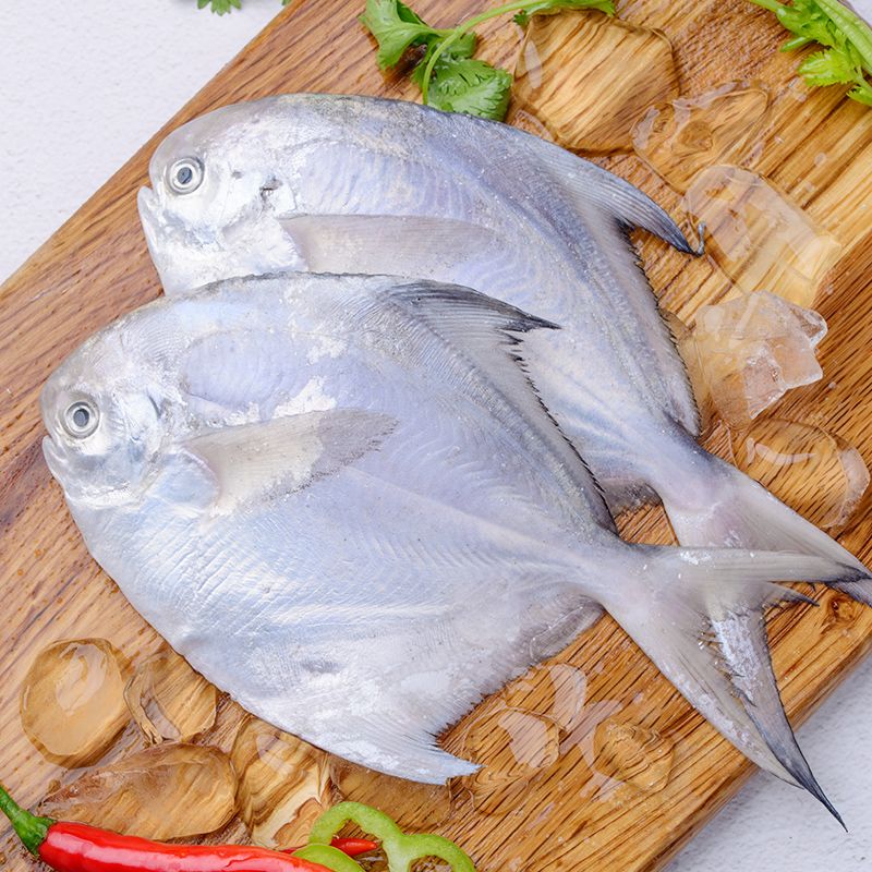 鯧魚和龍魚混養(yǎng)好嗎：關(guān)于龍魚和龍魚混養(yǎng)的問題